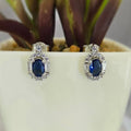 A pair of blue stud earrings with cubic zirconia stones, set in sterling silver, displayed in front of a potted plant.