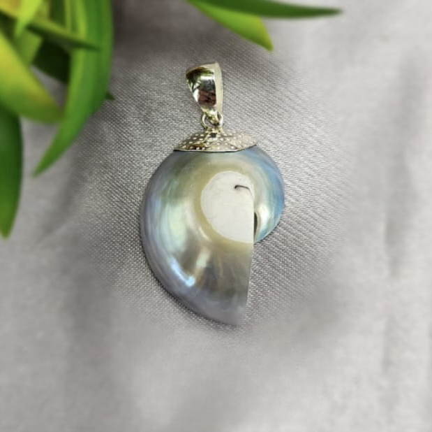Sterling Silver Pendant With Beautiful Shell Pearl