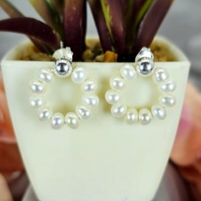A pair of silver hoop earrings with freshwater pearls, displayed in a white pot with green plant leaves.