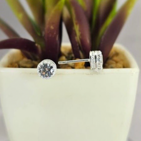 Silver earrings with clear stones displayed in a pot with plants
