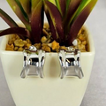 A pair of silver hoop earrings with a border detail, displayed in a white pot with green plant leaves.