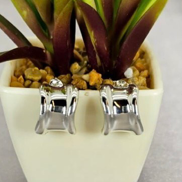 A pair of silver hoop earrings with a border detail, displayed in a white pot with green plant leaves.