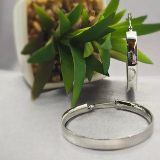 A pair of flat hoop earrings made of sterling silver, displayed on a white surface next to a green plant pot.