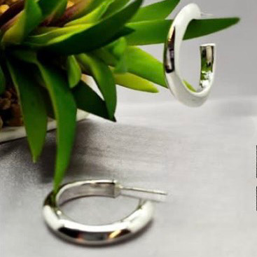 A pair of sterling silver hoop earrings displayed alongside a green plant on a grey surface.