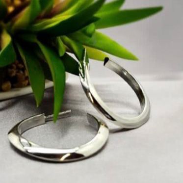 A pair of silver hoop earrings placed on a white surface with a green plant in the background.