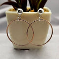 A pair of rose gold plated hoop earrings on sterling silver studs, displayed in a white ceramic vase with a green plant in the background.