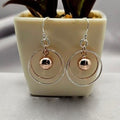 A pair of sterling silver and rose gold plated dangling circle earrings displayed in front of a potted plant.