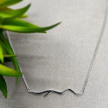 A sterling silver necklace with a branch design, displayed against a neutral background with a plant hint.