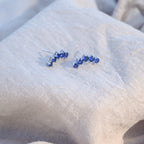 Blue Crown Stud Earrings