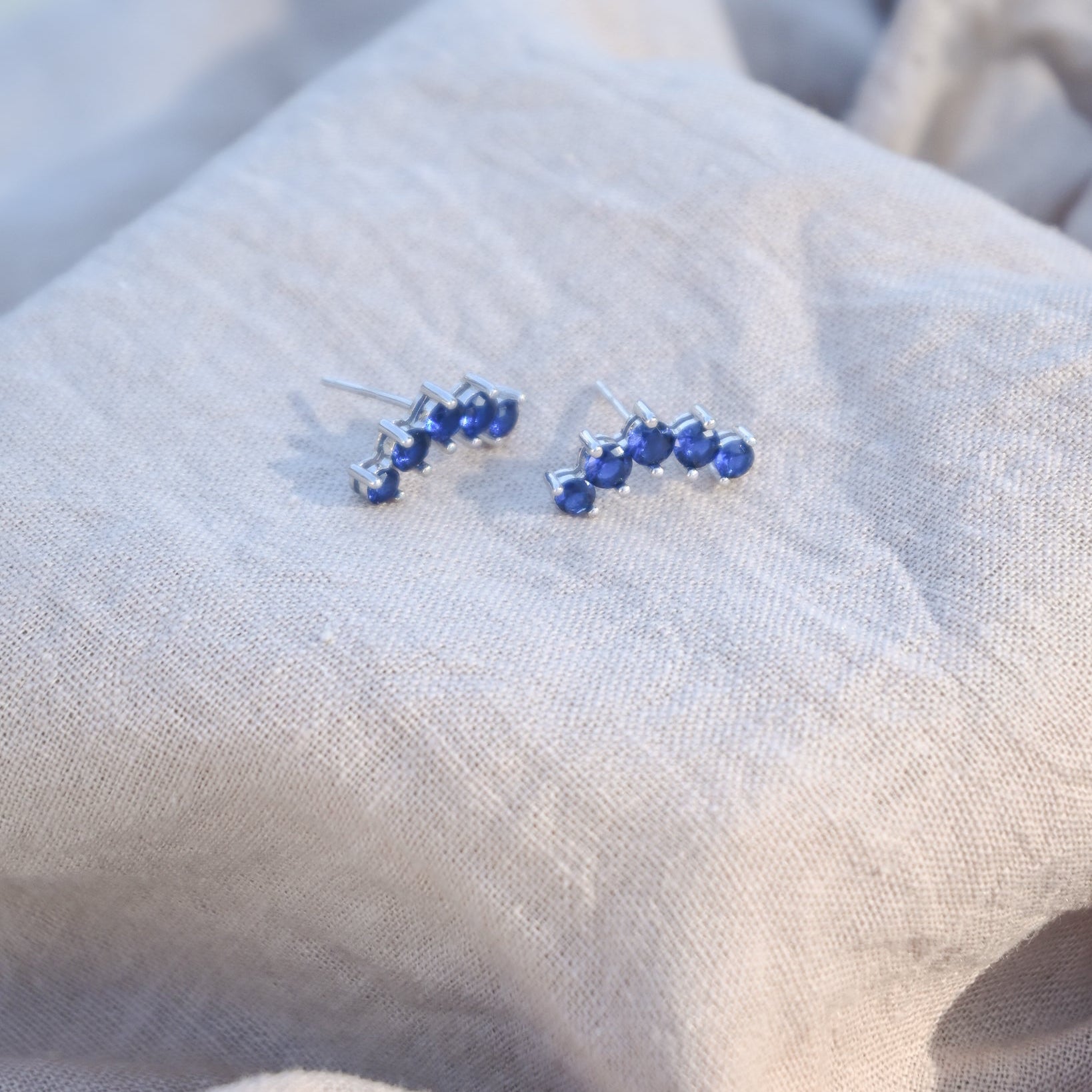 Blue crown stud earrings