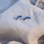 Blue Crown Stud Earrings