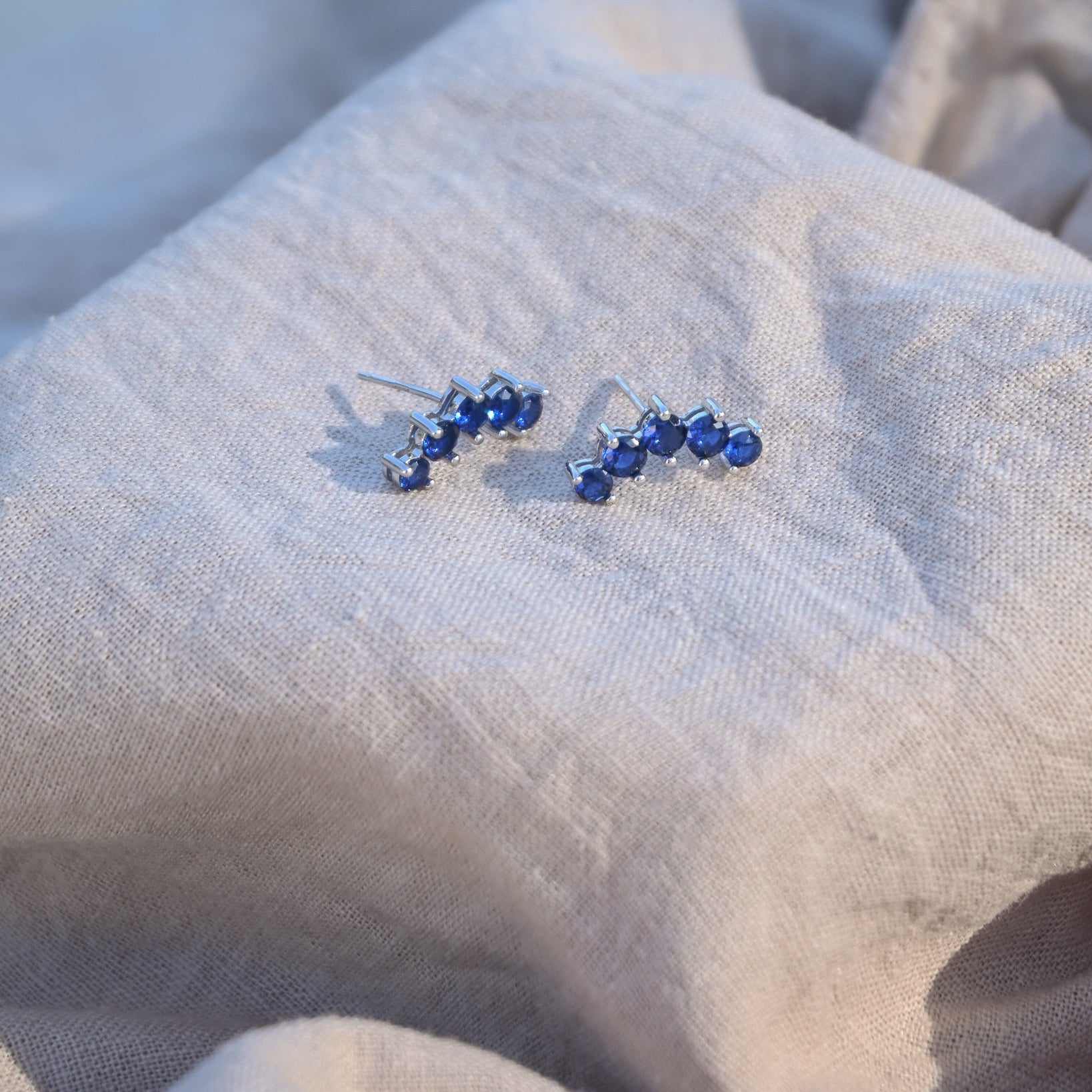 Blue crown stud earrings
