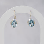 Sterling Silver Oval Blue Topaz Drop Earrings – 23mm - Terciany 