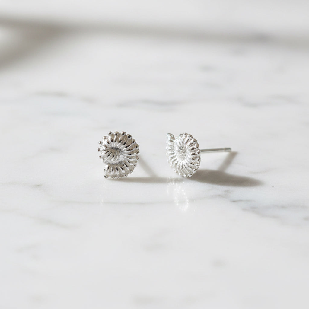Circle shell stud earrings - Terciany 