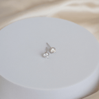 Sterling Silver 5mm Moissanite Stud Earrings - Terciany 