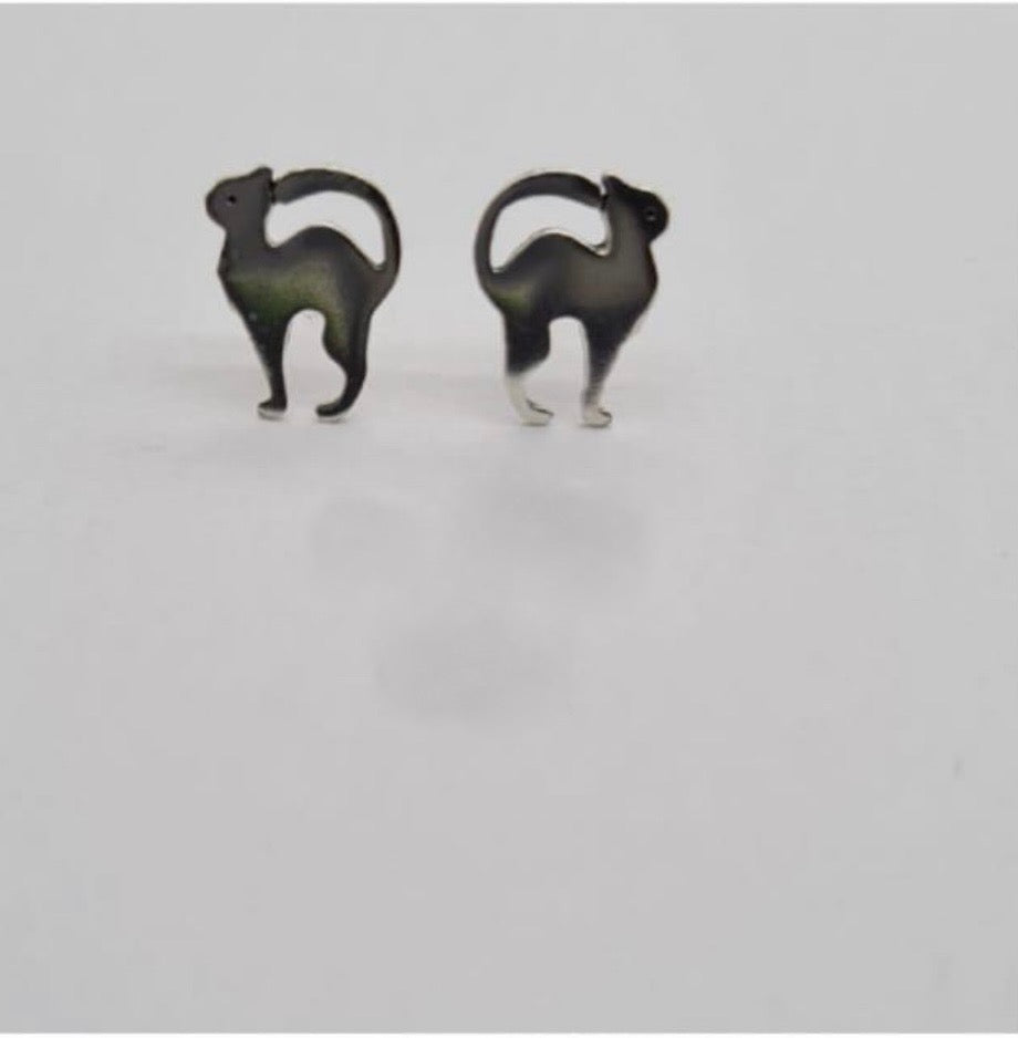 Cat studs