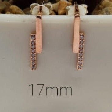 Rose Gold Double Vertical Bar Earrings
