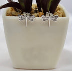 Pretty Bling Dragonfly Cubic Studs - Terciany 